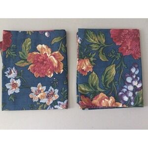2 SPRINGS‎ Shams Pillowcases King NEW Blue Floral Botanical VTG Romantic Cottage